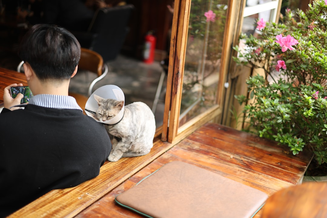 Pet Disease Prevention